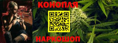 прущие грибы Лесосибирск