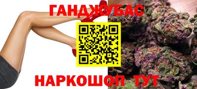 прущие грибы Лесосибирск