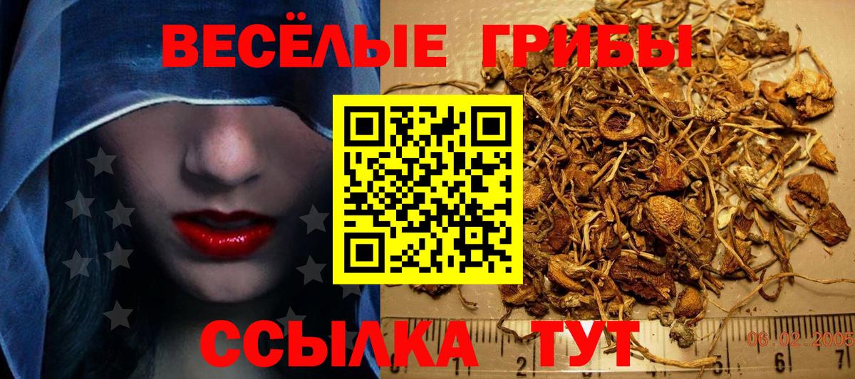 Галлюциногенные грибы Cubensis  Вход с VPN  Зерноград  Псилоцибиновые грибы Cubensis 